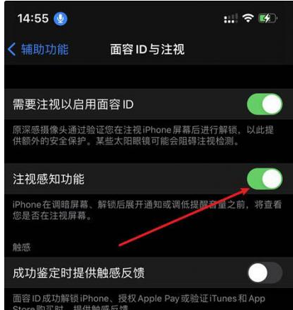 大埔苹果14维修网点分享iPhone14注视感知功能有什么用 